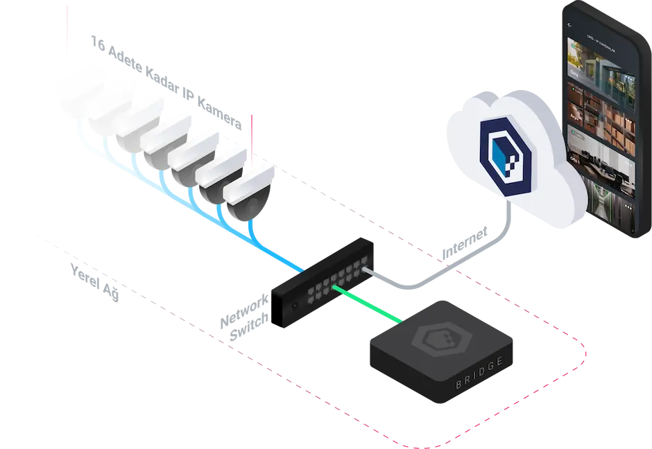 Hybrone Video Bridge